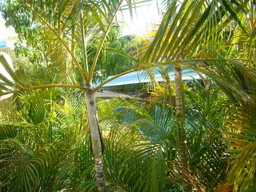 Pacific Sands Apartments Cairns Buitenkant foto